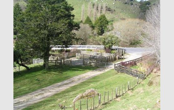 56.7 hectares - 212 Mapara South Road, Kopaki