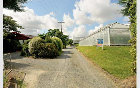 Pukekohe - Lifestyle & Greenhouse Income