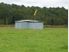 500 Cows Reefton