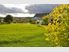 French Provincial on the Kaipara
