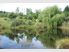 PLEASINGLY PICTURESQUE 10.5 HECTARES