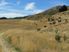 HAWEA FLAT - 102 HECTARES