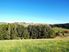 VIEWS OVER TE MATA VALLEY-5.4 ACRES
