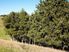 VIEWS OVER TE MATA VALLEY-5.4 ACRES