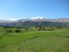 Queenstown Farm