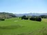 Queenstown Farm