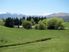 Queenstown Farm
