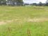 GOOD USEABLE LIFESTYLE BLOCK CLOSE TO TOWN