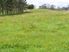 GOOD USEABLE LIFESTYLE BLOCK CLOSE TO TOWN