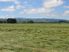 Kakahis hidden treasure - 40.06ha