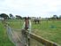 NEIGH NEIGH NEIGH