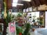 GARDEN CENTRE and GIFTS