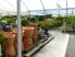 GARDEN CENTRE and GIFTS