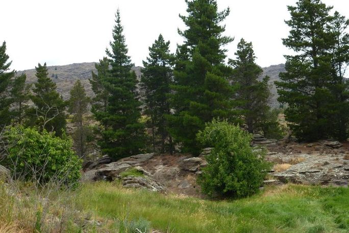 Alexandra唱的perfect 歌词_音乐_奇飞知识网