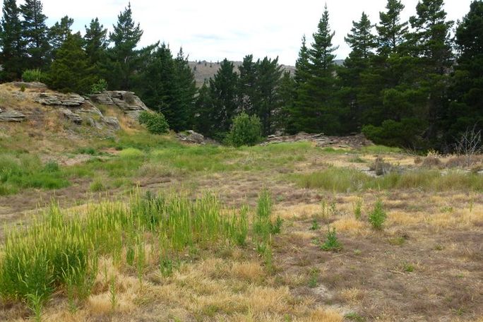 Alexandra唱的perfect歌词_音乐_奇飞知识网