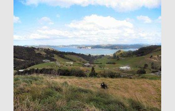 Your Mercury Bay Canvas