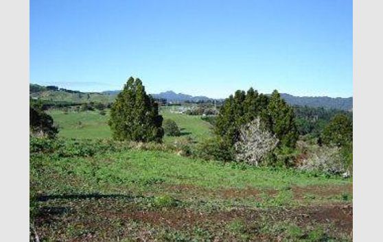 Waikino Section