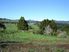 Waikino Section