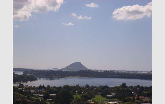 FLAT SECTION WITH VIEWS