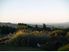 Privacy & Panoramic Views