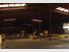 TIMBER MILL - TAKE THIS BUSINESS TO A NEW LEVEL