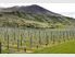 Lot 9 Wentworth Estates, Gibbston Highway, Gibbston Valley