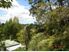 Sunny & Private Waikino Section