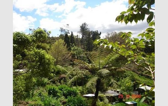 Sunny & Private Waikino Section