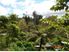 Sunny & Private Waikino Section