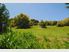 Magical Microclimate with Rural Views