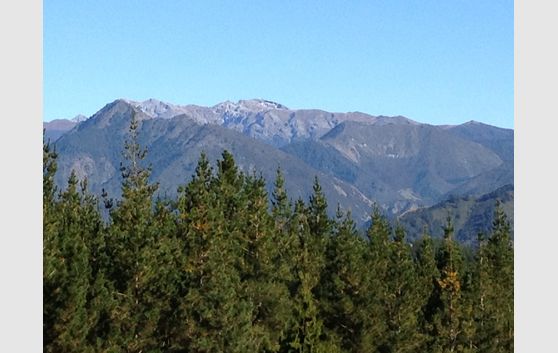Reach Out And Touch The Mountains