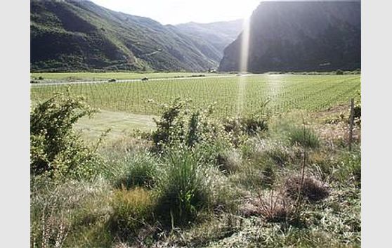 Mt Rosa Estate, Queenstown. Lot 5 and 6