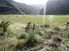 Mt Rosa Estate, Queenstown. Lot 5 and 6