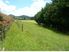 COASTAL COUNTRY LIFESTYLE