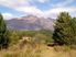 High Alpine Paradise Rediscovered