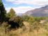 High Alpine Paradise Rediscovered