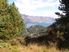 High Alpine Paradise Rediscovered