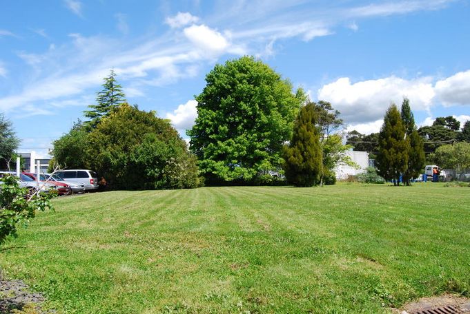 henderson land too good to miss!